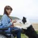 Dog Training: Come