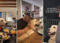 Golden Retriever Plays the ‘Long Game’ at Dinner for a Heist