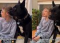 Video: Dog & Kid Look in the Same Direction at the Same Time