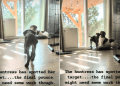 Video: Dog Slow-Walks Toward Sibling Before a Pounce That Doesn’t Land