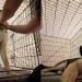 Dog Gets Older but Still Needs Mom’s Scratches Before Bed Like a Pup