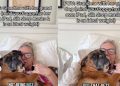 Dog Gets Pampered by Grandma, Who Always Only Says the Right Things