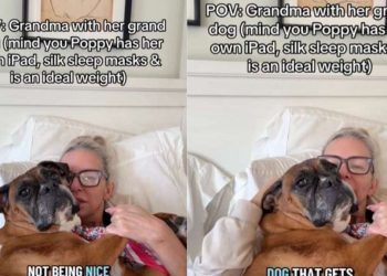 Dog Gets Pampered by Grandma, Who Always Only Says the Right Things