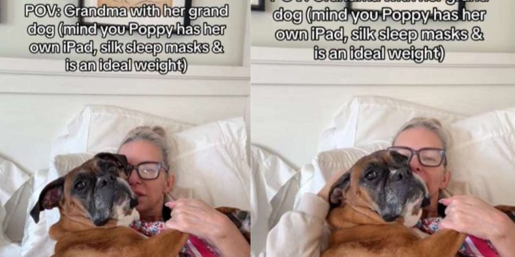 Dog Gets Pampered by Grandma, Who Always Only Says the Right Things