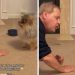 Dog & Grandpa’s Conversation Is Proof That They Share Special Bond