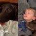 Dog Still Cuddles Little Boy Same Way They Used to When He Was Just a Baby