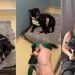 ‘Terrified’ Rescue Dog Too Scared To Leave Kennel Gets Surprise Full of Love