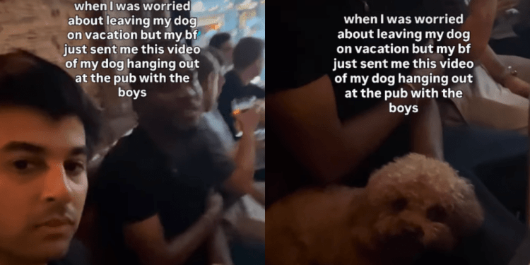 Dog Enjoys Quality Boys Time After Mom Leaves Him To Go on Vacation