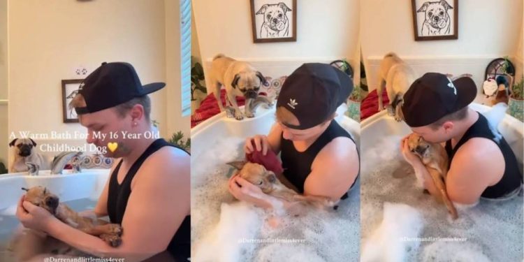 Dad Gives His Childhood Dog of 16 Years a Warm, Well-Deserved Bath